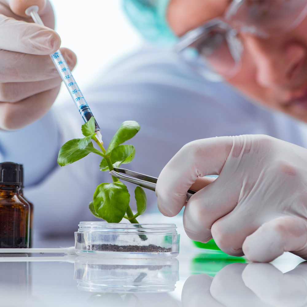 Exploring the Frontiers of Biotechnology