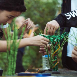 Build Your Own Supertree in Gardens by the Bay